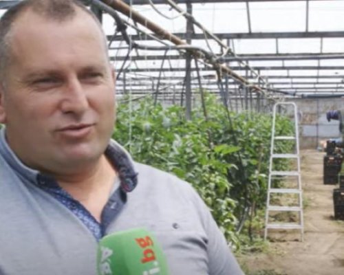 Доматите и краставиците на борсата в Кърналово са от бунището на Солун