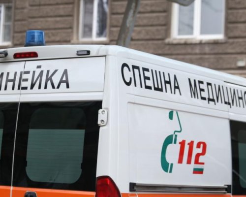 Каруца, теглена от кон, е ударила жена на пешеходна пътека в Севлиево