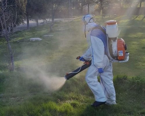 Внимание! Община Благоевград започва дезакаризация на зелените площи
