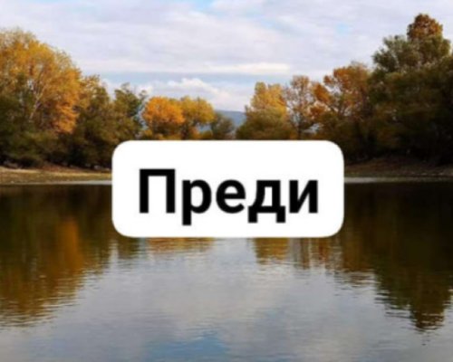 Изсечени дървета около водоем край Дъбрава