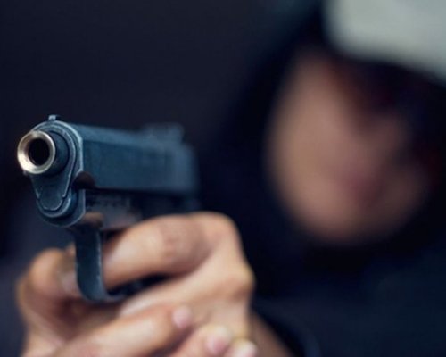 Простреляха две овчарски кучета в Банско