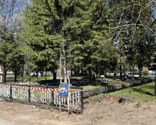 Община Разлог отстранява опасни дървета