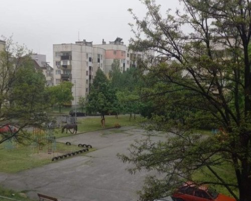 Възмутително! Детска площадка в Благоевград се превърна в... пасище за коне