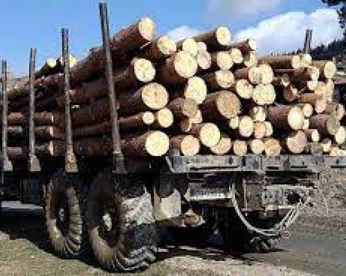 Акция! Задържаха камион с незаконна дървесина край село Крупник