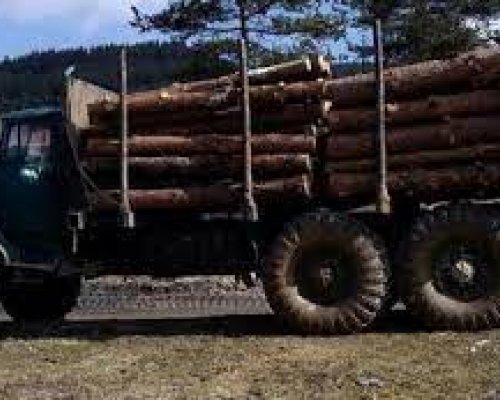 Полицията в Благоевград официално за задържания с незаконна дървесина камион край с. Крупник