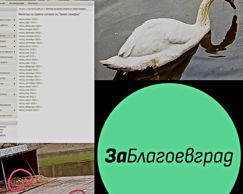 ЗаБлагоевград: Какво може да причиниш, когато си на общинска служба, но не знаеш съвсем какви ги вършиш?