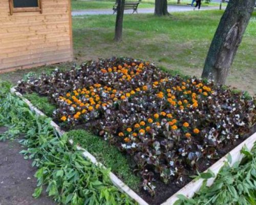 Книга от живи цветя разцъфна в Градската градина в Благоевград