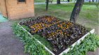 Книга от живи цветя разцъфна в Градската градина в Благоевград