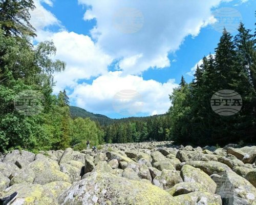 Отбелязваме Деня на парковете в България