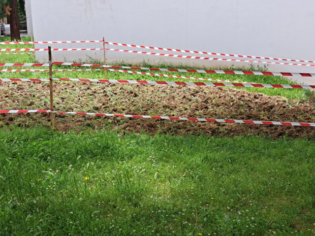 Градина с картофи се появи пред сградата на община Благоевград