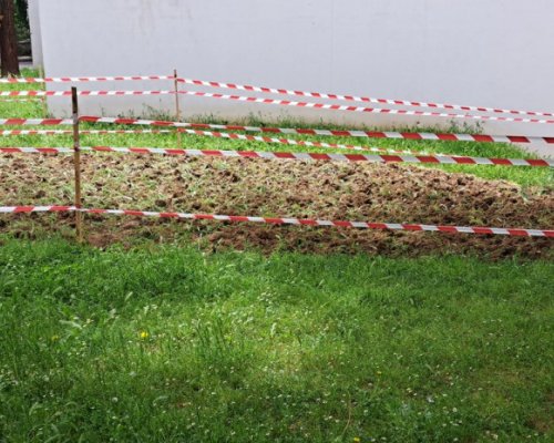 Градина с картофи се появи пред сградата на община Благоевград