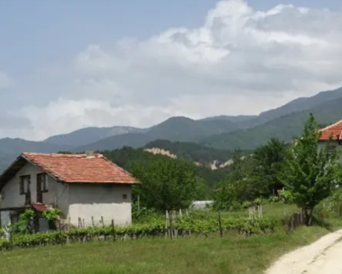 Българи масово се завръщат от чужбина, търсят селски живот и хармония сред природата