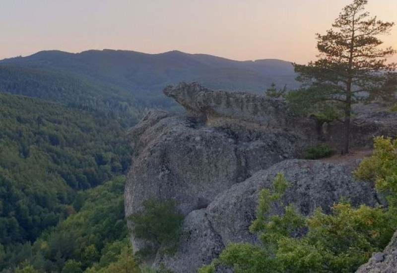 Чудо на Свети Дух! Мъж падна от 100-метрова скала в Родопите и оцеля