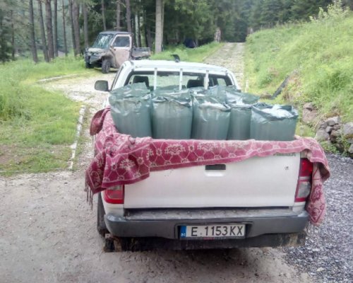 ЮЗДП с кампания за зарибяване с балканска пъстърва