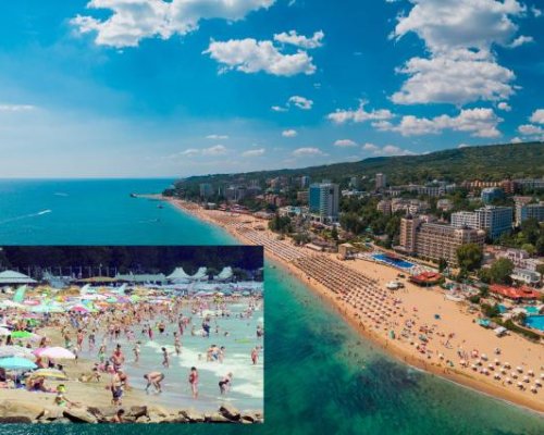 Хотелиери се гмуркат за миди в морето да покажат, че водата е чиста