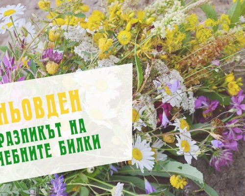 Еньовден-празникът на лечебните билки