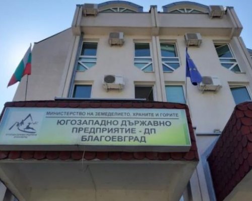 Предадоха на прокурор измамни ловци и бракониер