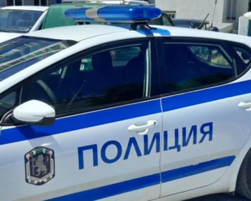 Белезници за четирима крадци на метална мрежа
