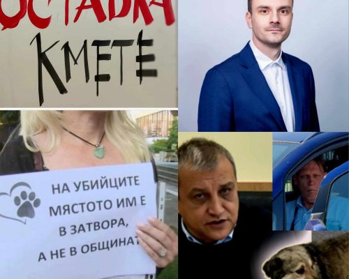 Депутат и защитници на кучетата искат Оставка на кмета и наказания за общински служители в Благоевград