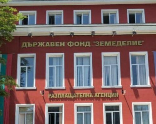 Уволниха петрички специалист от ДФЗ