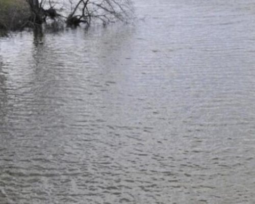 Откриха второто удавено дете в Камчия
