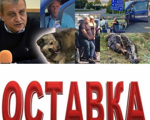 Ядосани благоевградчани искат главата на кмета Илко Стоянов