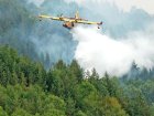 Пожар пламна в Национален парк  Пирин”