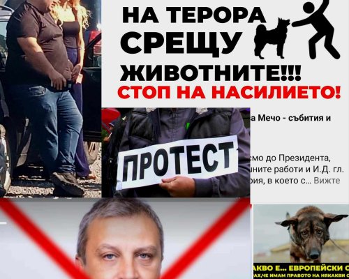 Благоевград излиза на протест срещу насилието над кучетата