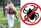Повторно пръскане срещу бълхи, кърлежи и комари в Банско