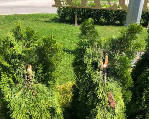 Вандалска проява в Разлог