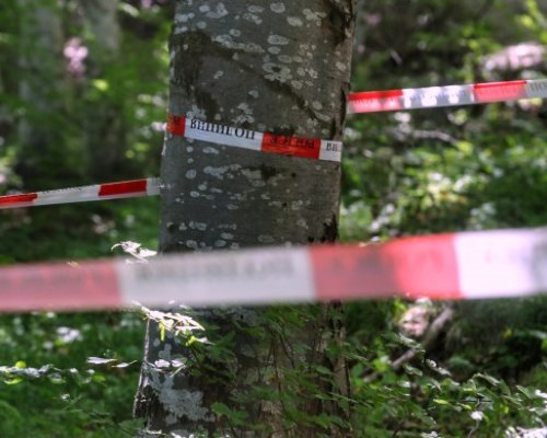Алексей Петров убит с автомат, два куршума са влезли в тялото и в главата