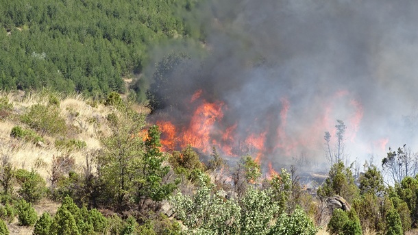 Отново пожар в планината над Радомир