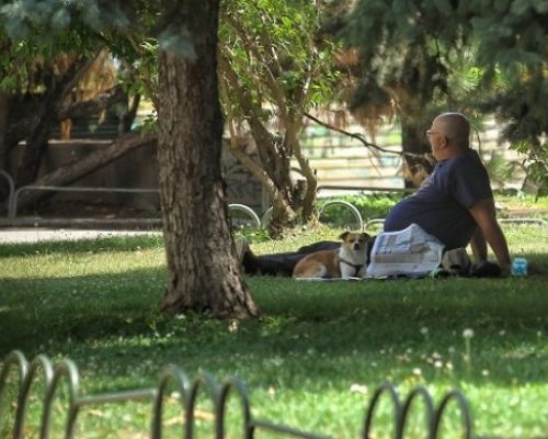 Седмицата започва с горещо време