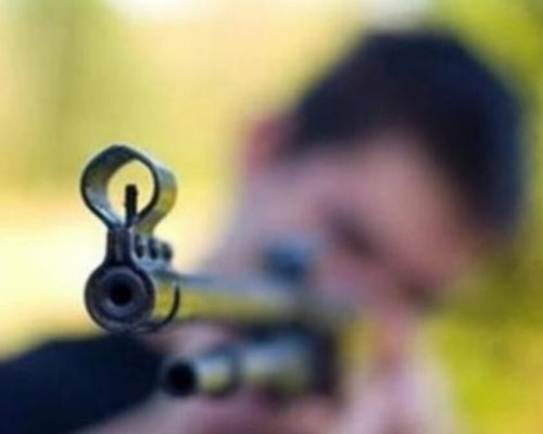 Мъж застреля куче в Елешница, откриха в дома 3 пушки и 13 пистолета