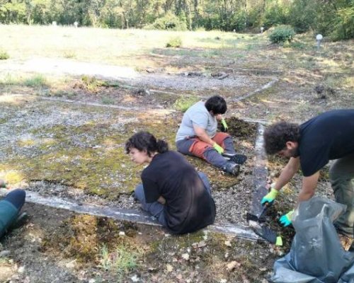 Чужденци чистят Самуилова крепост край Петрич