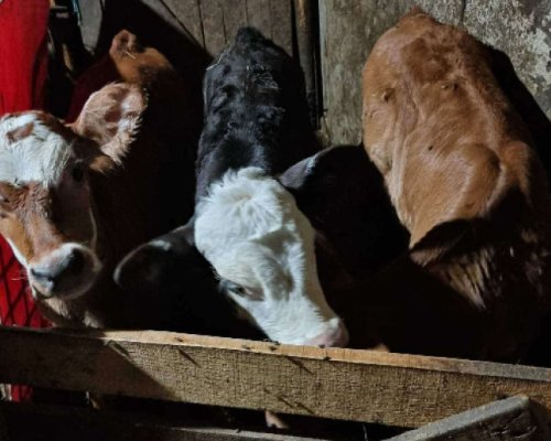 Фермерката Айше Хасан: Все повече хората ценят истинските продукти