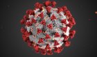 20 нови случая на коронавирус