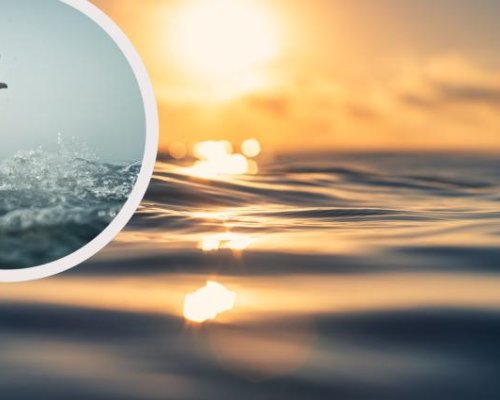 ИНФАРКТНО: Едвам спасиха две българчета от бурното море в Турция