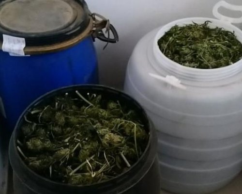 Иззеха марихуана в бидони на Кулата