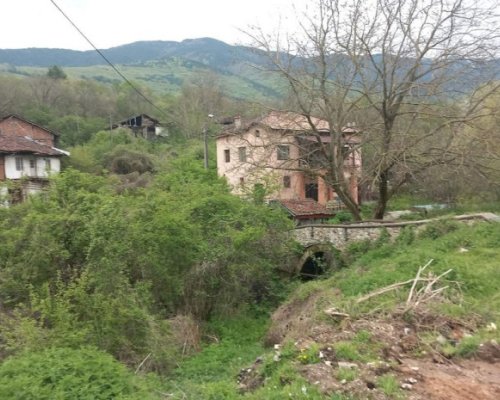 Коритото на река в Санданско се превърна в гора