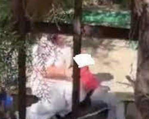 След скандала с битото дете: Отстраниха от работа агресивната учителка в ДГ  Щастливо детство