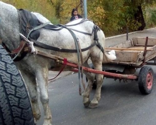 Каруца прегази 18-годишно момче