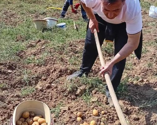 Кандидат-кмет откри кампанията си с мотика на нивата
