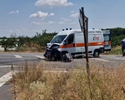Линейка с пациент удари кон, изскочил на пътя  в Югозапада