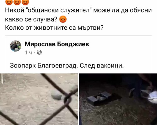 ИЗВЪНРЕДНО! Фейсбук ври и кипи с клипове на умрели животни в зоопарка на Благоевград.