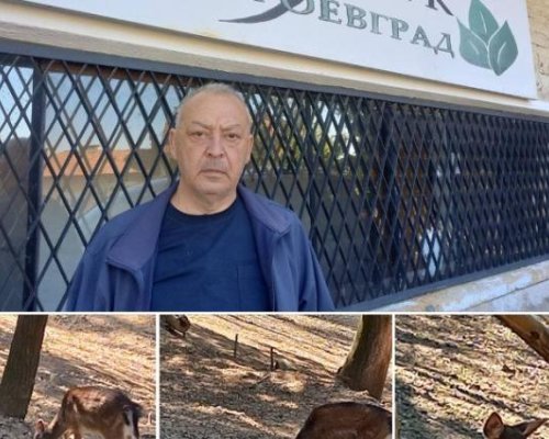 Протест пред благоевградския зоопарк заради погубените сърни