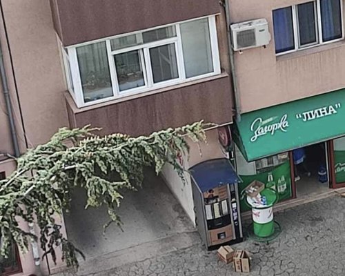 Посред бял ден: Маскиран нападна и преби бизнесдама в центъра на Благоевград