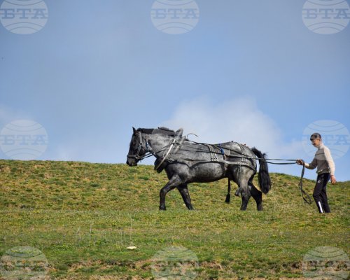 Фоторепортерът на БТА в Благоевград Красимир Николов спечели първо място във фотоконкурс, посветен на празника на Разлог