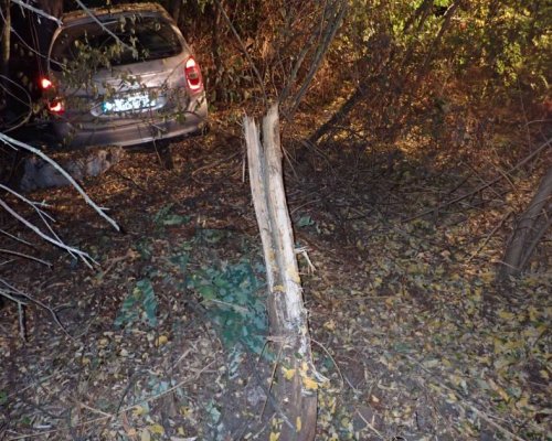 23-годишен шофьор загина след удар в дърво