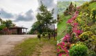 80 000 цветя красят петричкото село Долене